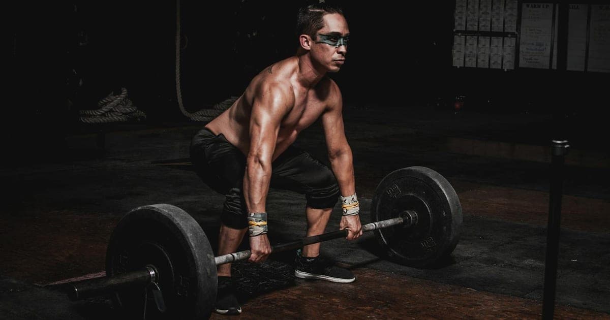 Push Pull Legs : le split débutant complet